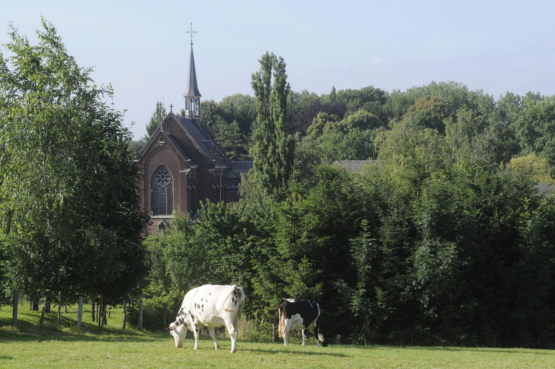 Omgeving - Hotel De Kommel